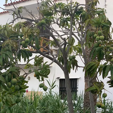 Ocean Paradise Apartamento Costa Adeje (Tenerife)