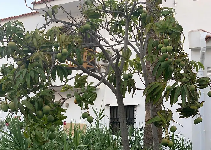 Ocean Paradise Apartment Costa Adeje (Tenerife)